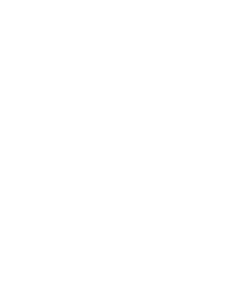 Phone icn